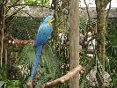 IMG_0454.JPG