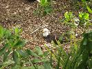 IMG_0472.JPG