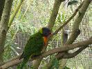 IMG_0516.JPG
