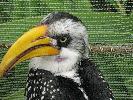 IMG_0523.JPG