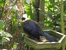 IMG_0533.JPG