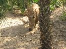 IMG_0544.JPG