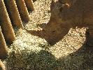 IMG_0548.JPG