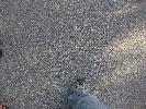 IMG_0554.JPG