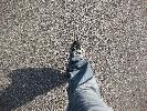 IMG_0556.JPG