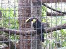 IMG_9853.JPG