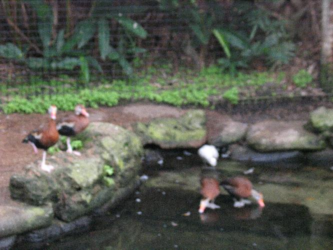 IMG_9866.JPG