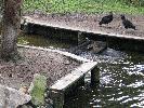 IMG_9869.JPG