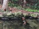 IMG_9870.JPG