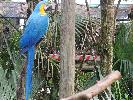 IMG_9871.JPG