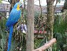 IMG_9872.JPG