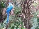 IMG_9876.JPG