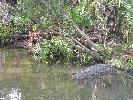 IMG_9877.JPG