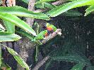 IMG_9882.JPG