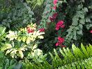 IMG_9891.JPG