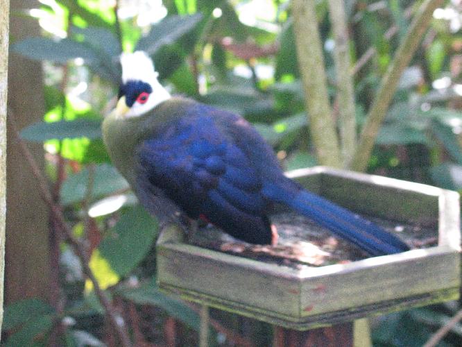 IMG_9896.JPG