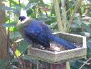 IMG_9898.JPG