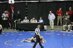IMG_9500.JPG