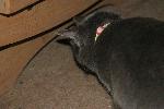 IMG_0817.JPG