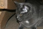 IMG_0819.JPG
