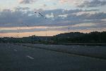 IMG_9966.JPG