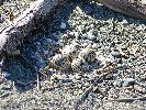 368.jpg