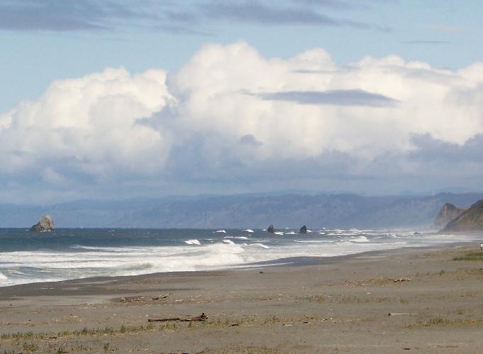 03-20-07 013.jpg