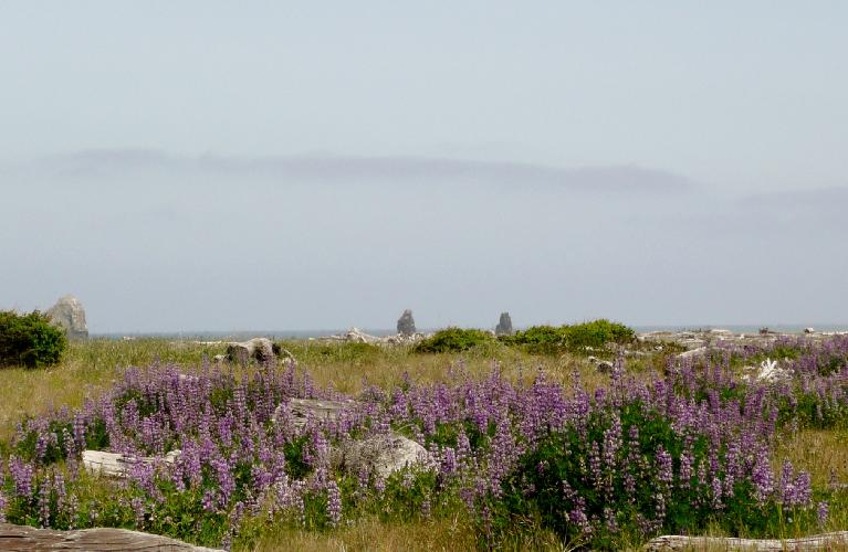05-29-11 208.jpg