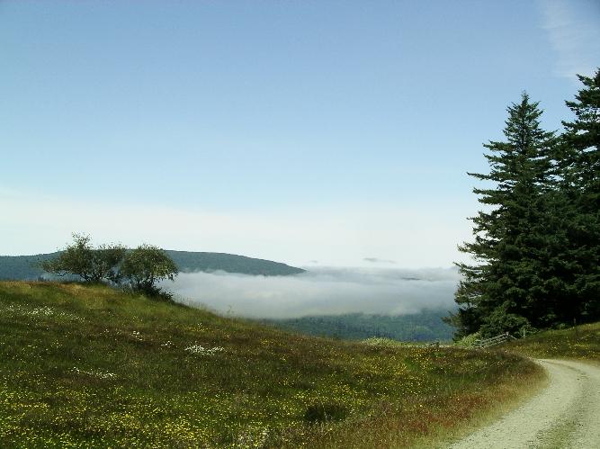 06-20-04 073.jpg