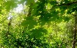 06-28-11 147.jpg