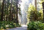 09-09-08 024.jpg