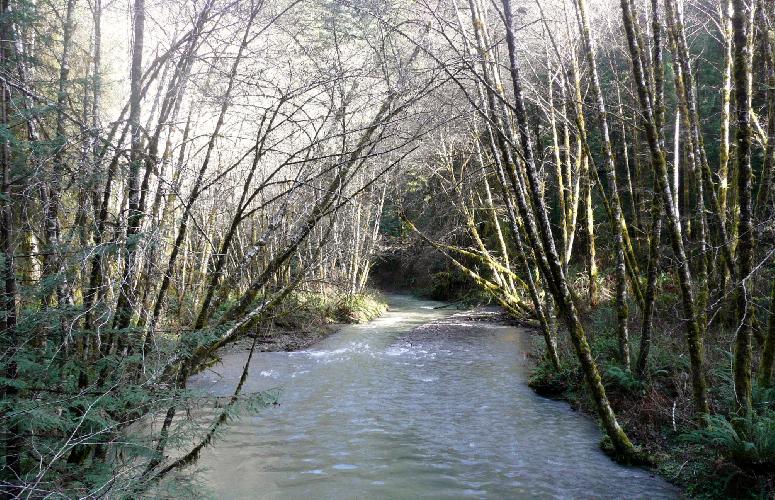315.JPG