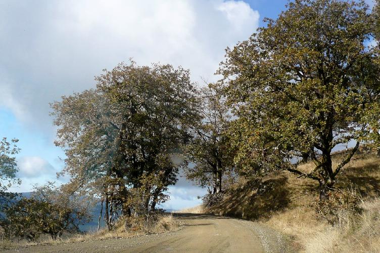479.JPG