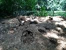 IMG_0026.JPG