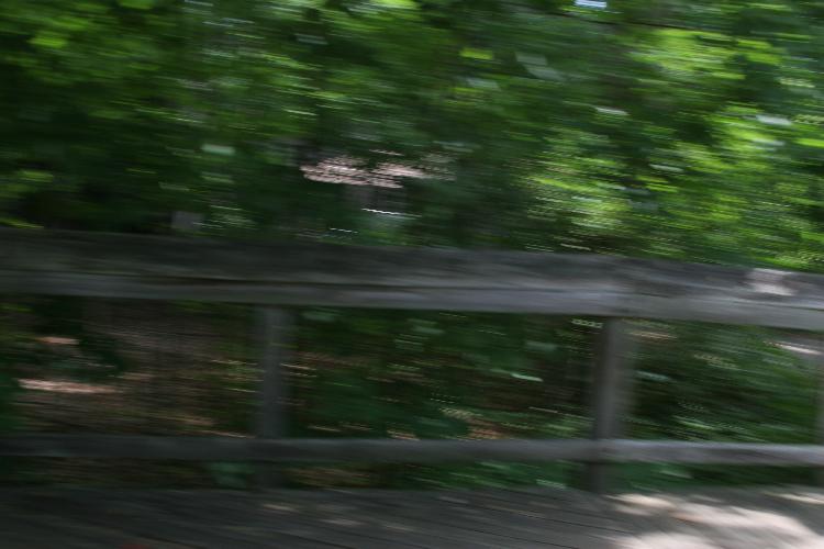 IMG_0092.JPG