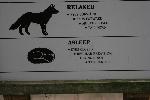 IMG_0146.JPG