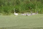 IMG_0175.JPG