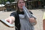 IMG_0191.JPG
