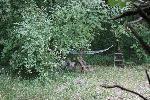 IMG_0263.JPG