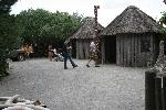 IMG_0294.JPG