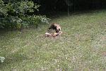 IMG_0345.JPG