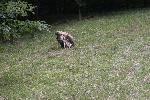 IMG_0357.JPG