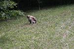 IMG_0358.JPG
