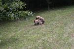 IMG_0361.JPG