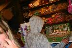 IMG_0506.JPG