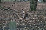IMG_0712.JPG