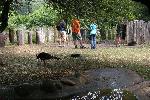 IMG_0718.JPG