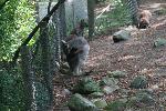 IMG_0722.JPG