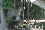 IMG_0752.JPG