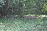 IMG_0759.JPG